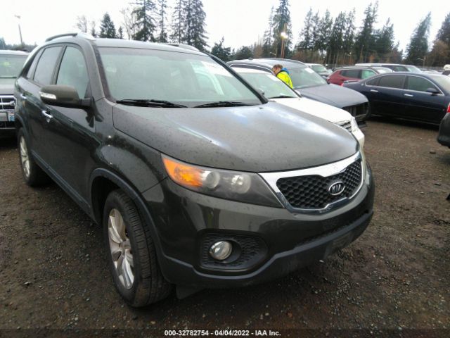 KIA SORENTO 2011 5xyku3a10bg116608