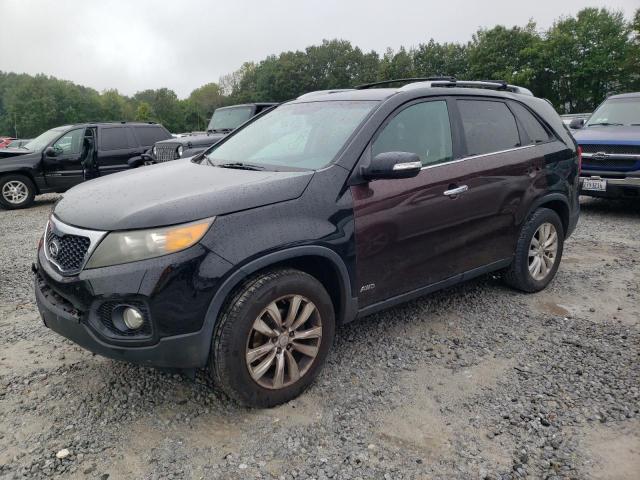 KIA SORENTO 2011 5xyku3a10bg178266