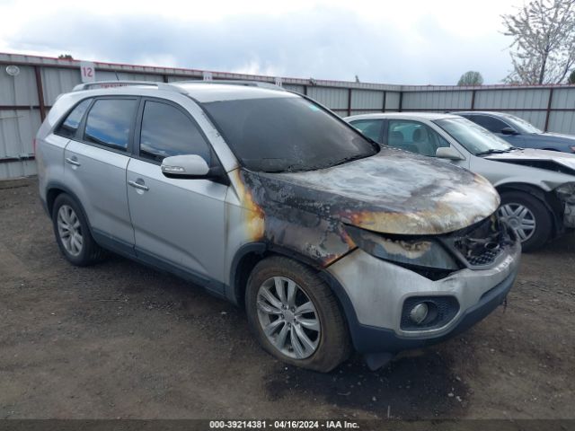 KIA SORENTO 2011 5xyku3a11bg017974