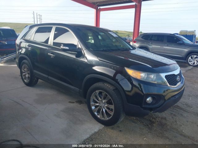 KIA SORENTO 2011 5xyku3a11bg021412