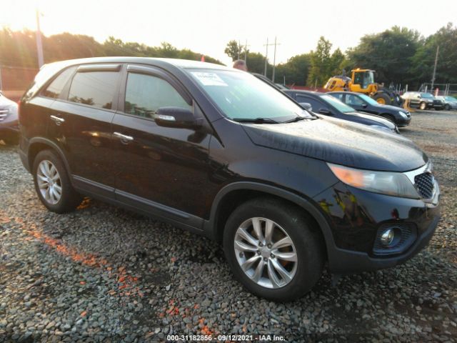 KIA SORENTO 2011 5xyku3a11bg022141