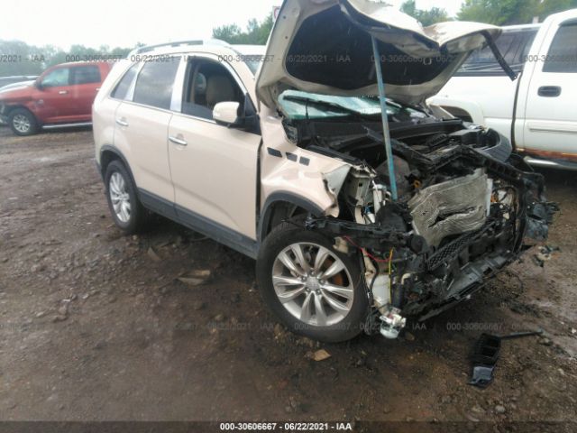 KIA SORENTO 2011 5xyku3a11bg048111