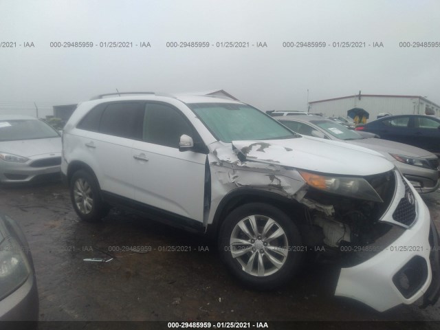 KIA SORENTO 2011 5xyku3a11bg072828