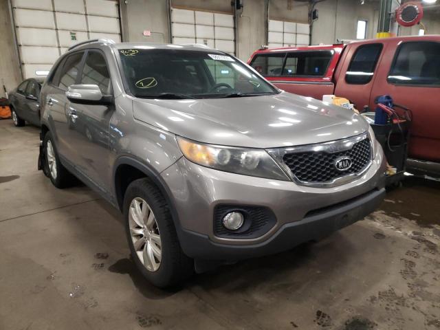 KIA SORENTO EX 2011 5xyku3a11bg081688