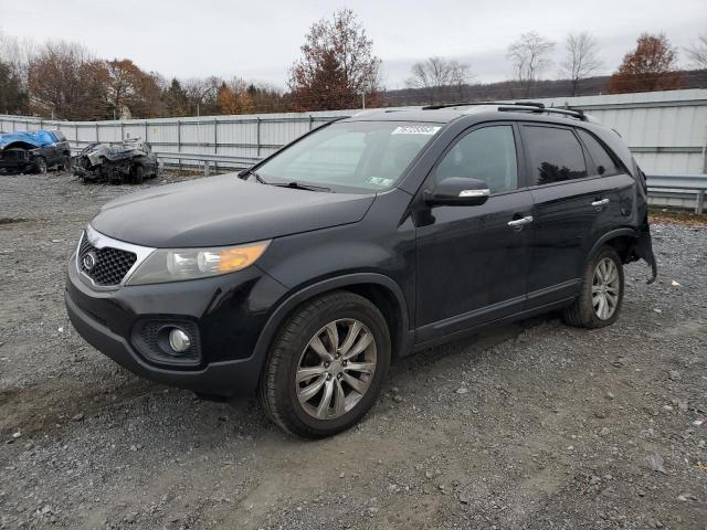 KIA SORENTO 2011 5xyku3a11bg172802