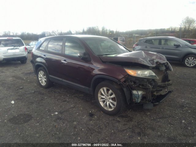 KIA SORENTO 2011 5xyku3a12bg002822