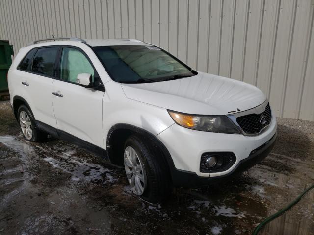 KIA SORENTO EX 2011 5xyku3a12bg009009