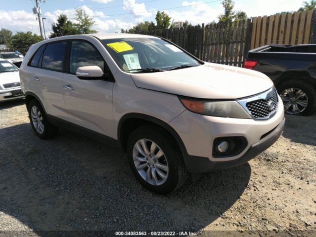 KIA SORENTO 2011 5xyku3a12bg015408