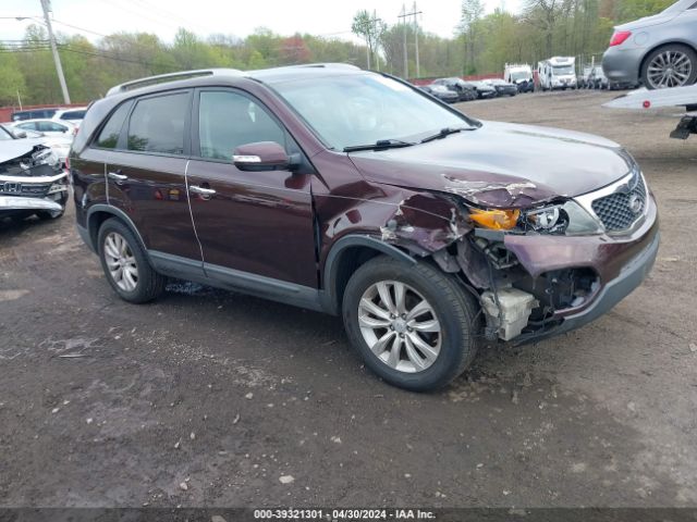 KIA SORENTO 2011 5xyku3a12bg173134