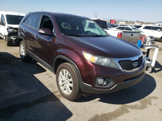 KIA SORENTO EX 2011 5xyku3a13bg020651