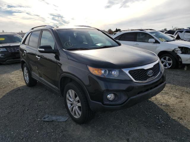 KIA SORENTO 2011 5xyku3a13bg055738