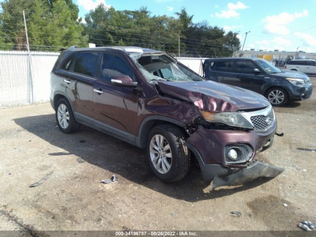 KIA SORENTO 2011 5xyku3a14bg036731