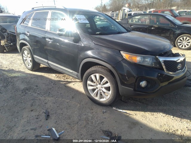 KIA SORENTO 2011 5xyku3a16bg015301