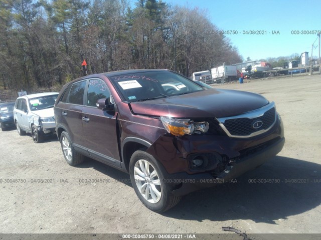 KIA SORENTO 2011 5xyku3a16bg019039