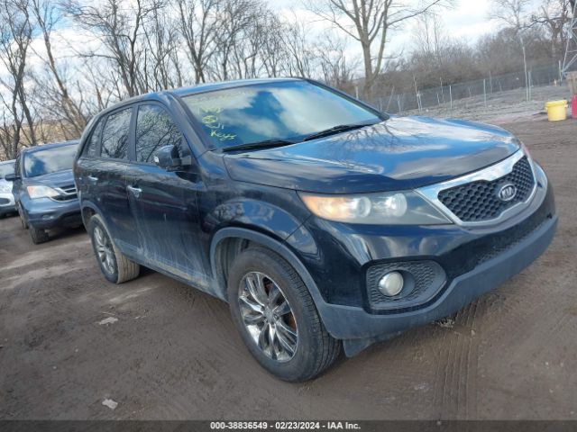 KIA SORENTO 2011 5xyku3a16bg029201