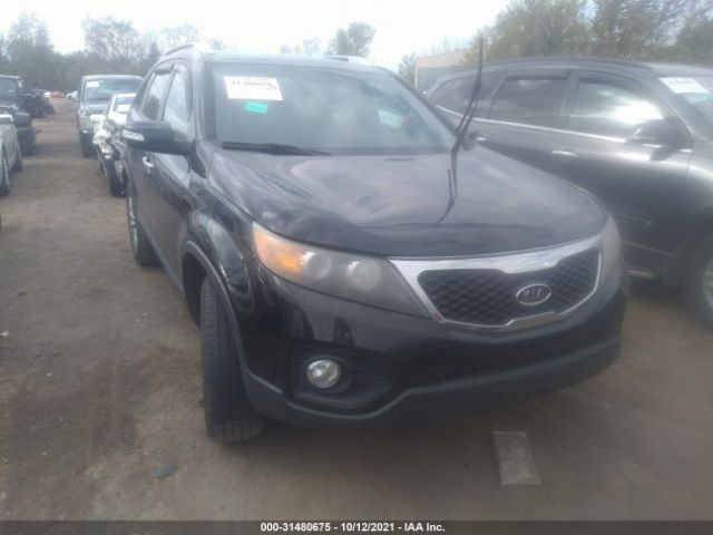 KIA SORENTO 2011 5xyku3a16bg035757