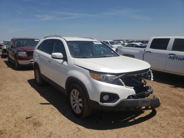 KIA SORENTO EX 2011 5xyku3a16bg083923