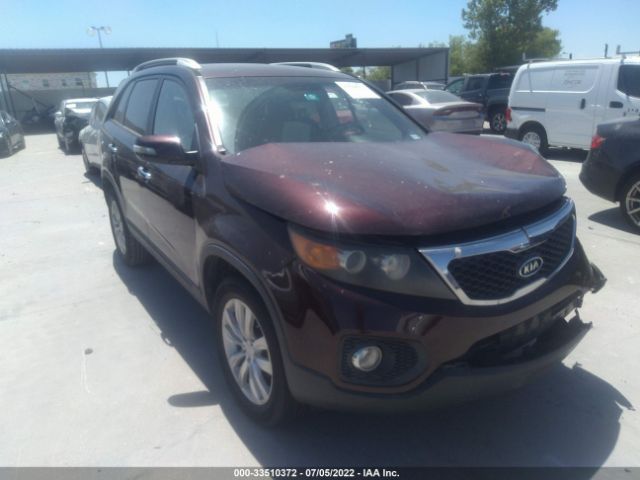 KIA SORENTO 2011 5xyku3a16bg172732