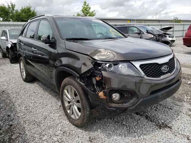 KIA SORENTO EX 2011 5xyku3a17bg100583