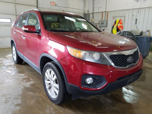 KIA SORENTO EX 2011 5xyku3a18bg054651