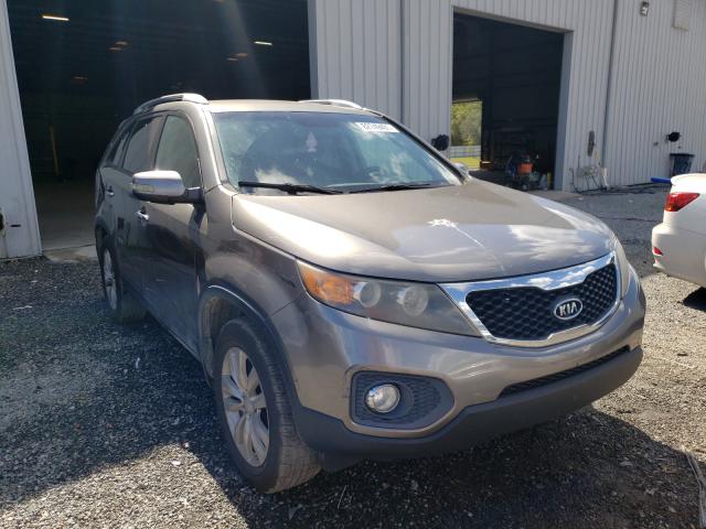 KIA SORENTO EX 2011 5xyku3a19bg033629