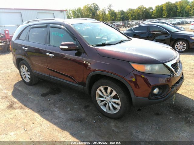 KIA SORENTO 2011 5xyku3a1xbg022879