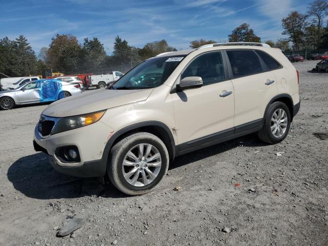 KIA SORENTO 2011 5xyku4a13bg025936