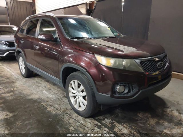 KIA SORENTO 2011 5xyku4a13bg091239