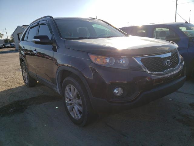 KIA SORENTO EX 2011 5xyku4a16bg087637