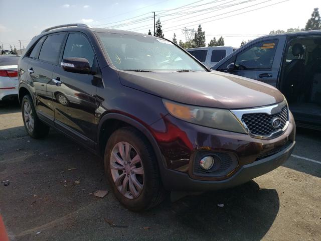 KIA SORENTO EX 2011 5xyku4a16bg134651