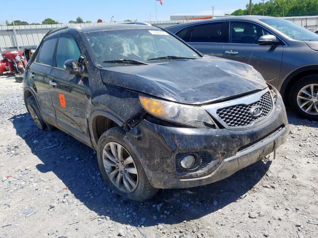 KIA SORENTO EX 2011 5xyku4a19bg038397