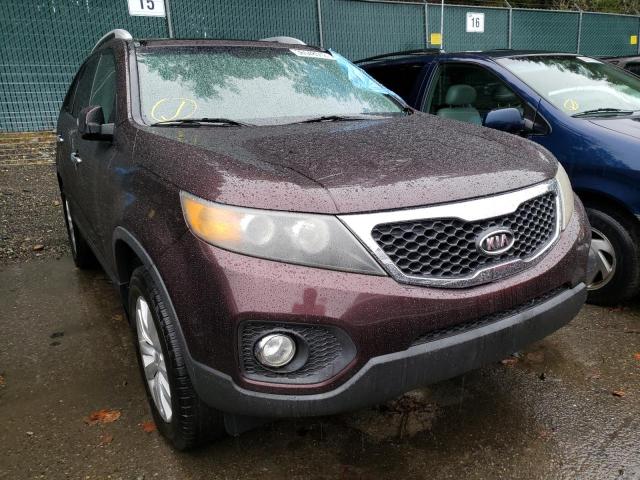 KIA SORENTO 2011 5xyku4a20bg075430