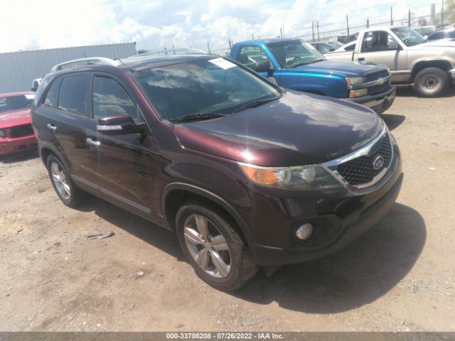 KIA SORENTO 2012 5xyku4a25cg206515