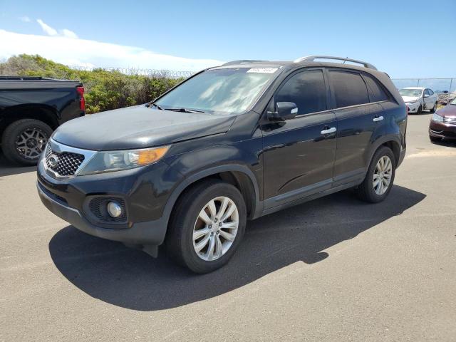 KIA SORENTO 2011 5xyku4a26bg027950