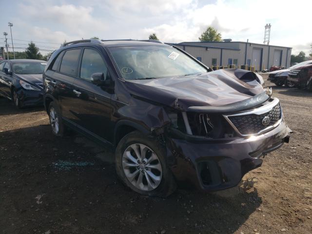 KIA SORENTO EX 2014 5xyku4a73eg523000