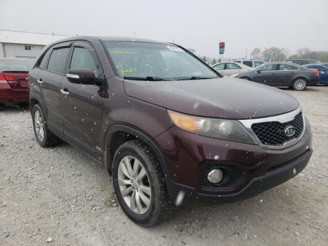 KIA SORENTO EX 2011 5xykuca10bg011924