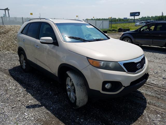 KIA SORENTO EX 2011 5xykuca10bg074330