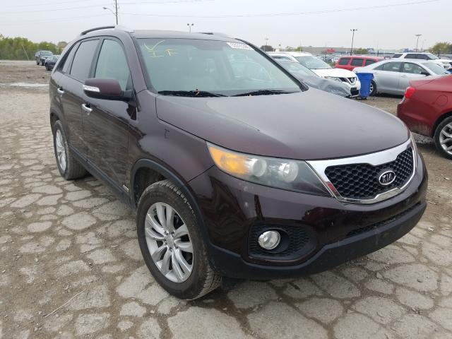 KIA SORENTO EX 2011 5xykuca10bg074487