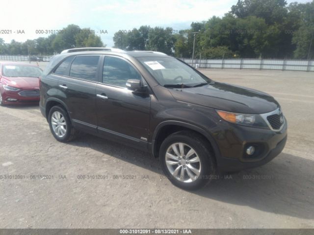 KIA SORENTO 2011 5xykuca10bg147230