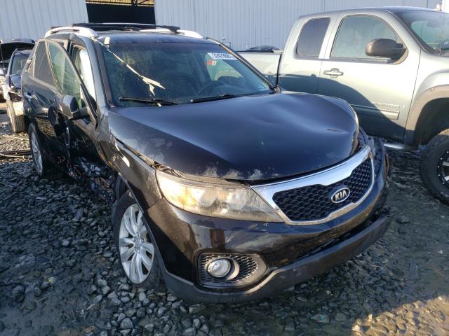 KIA SORENTO EX 2011 5xykuca10bg179918