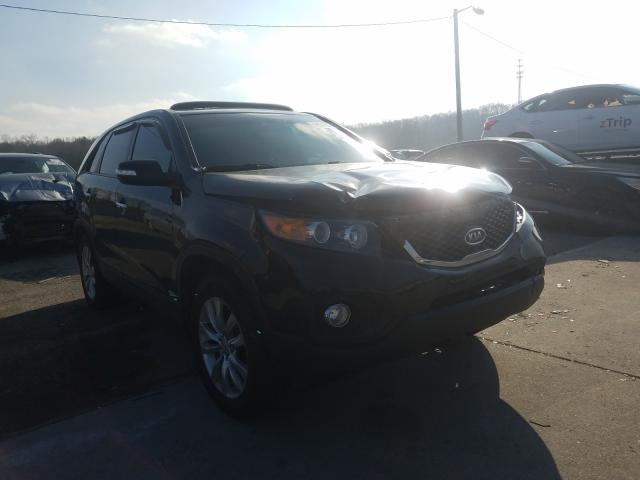 KIA SORENTO EX 2011 5xykuca13bg014848