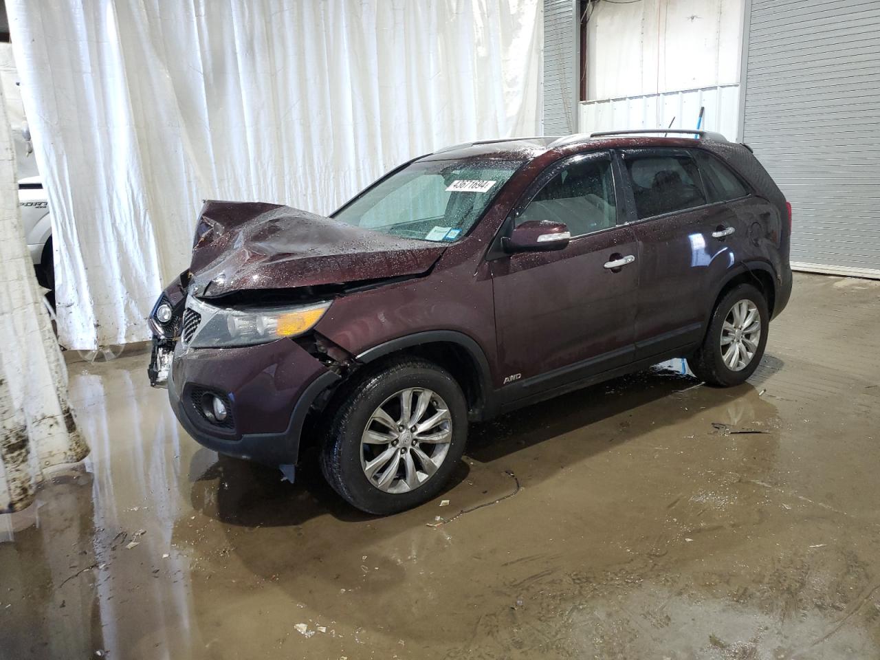 KIA SORENTO 2011 5xykuca13bg021783