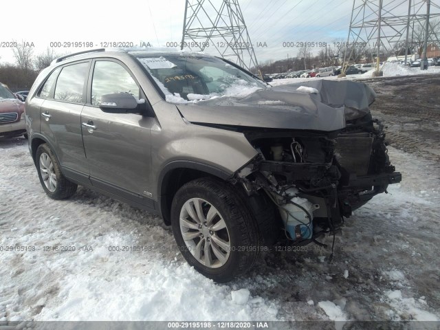 KIA SORENTO 2011 5xykuca13bg141924