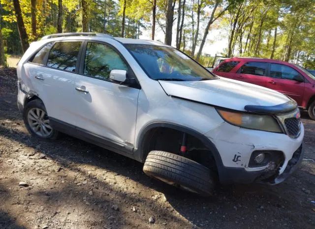 KIA SORENTO 2011 5xykuca13bg147934