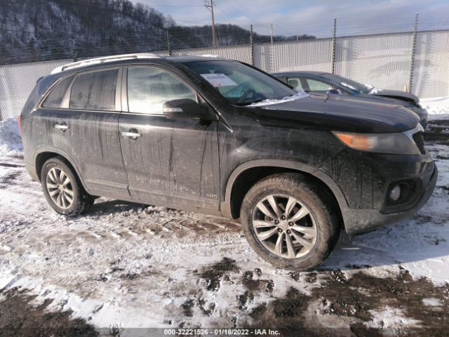 KIA SORENTO 2011 5xykuca13bg179900