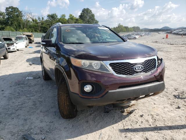 KIA SORENTO EX 2011 5xykuca14bg125585