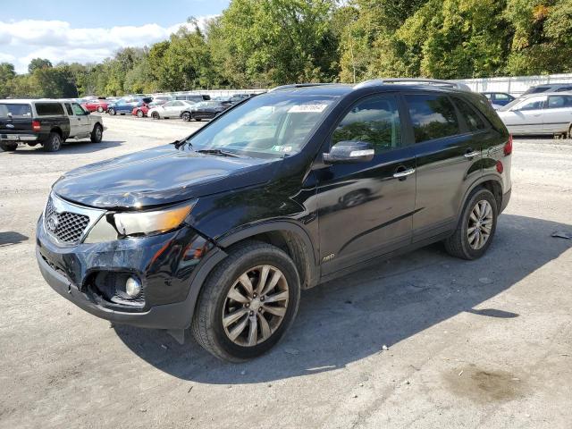 KIA SORENTO EX 2011 5xykuca15bg032509