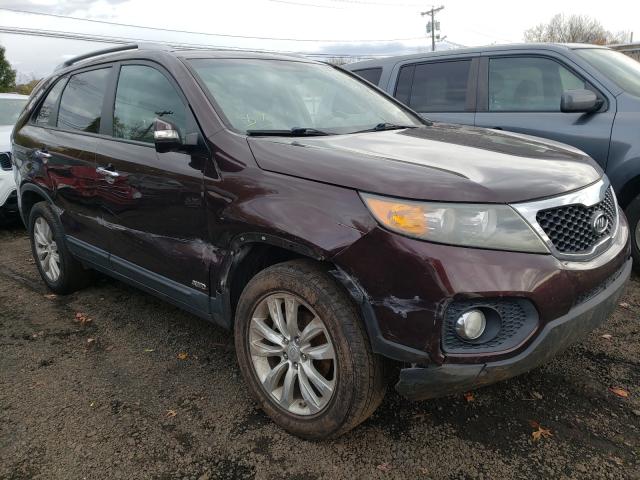 KIA SORENTO EX 2011 5xykuca16bg088703