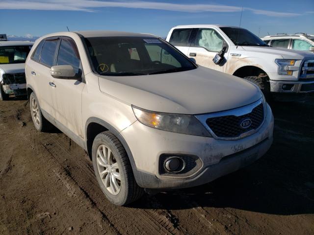 KIA SORENTO EX 2011 5xykuca17bg002668