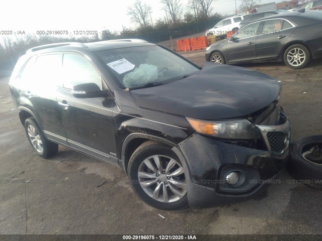 KIA SORENTO 2011 5xykuca17bg068430